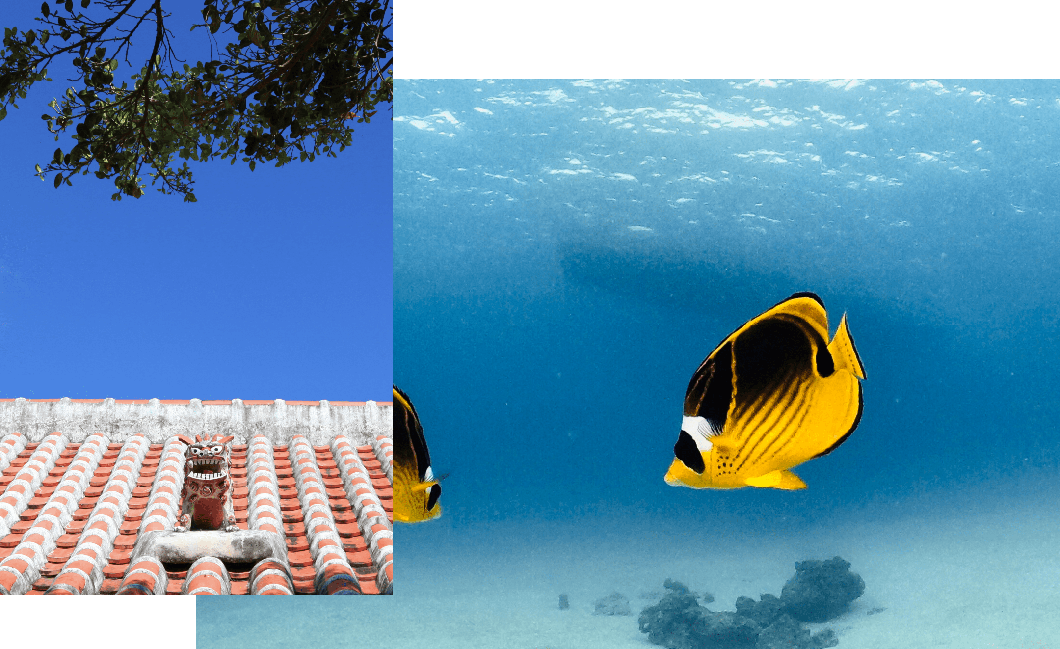 私たちについての写真